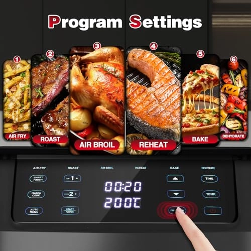 Dual Air Fryer AF1102