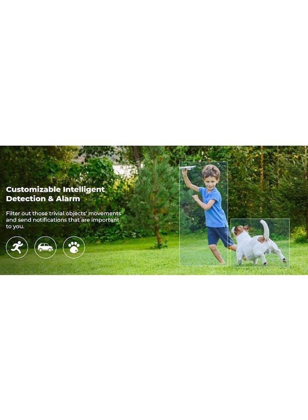 NVS8 + NVS-B12M - 8-Channel