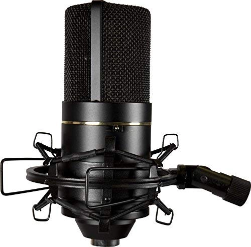 770 XLR Microphone