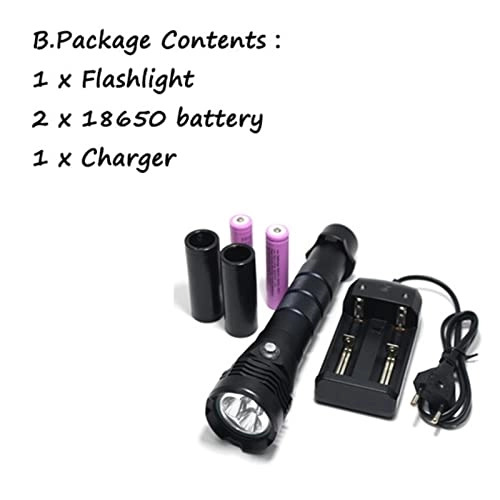 Professional Submersible Light