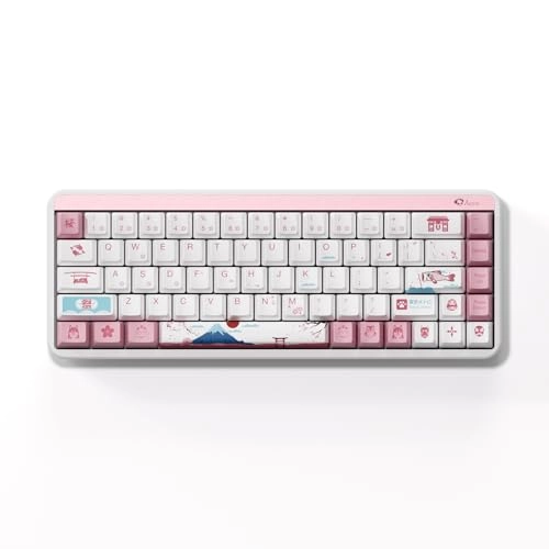 JIN01 - Wired/Wireless