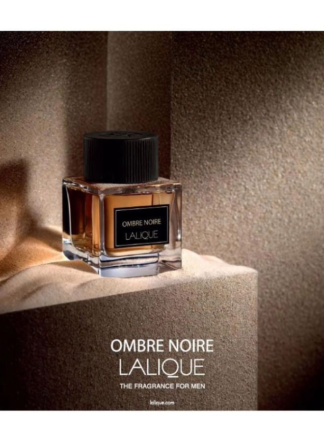 Ombre Noire Eau de Parfum 100 ml