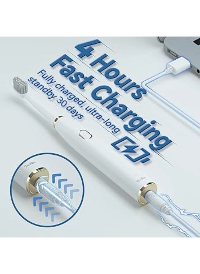 Sonic Electric Toothbrush