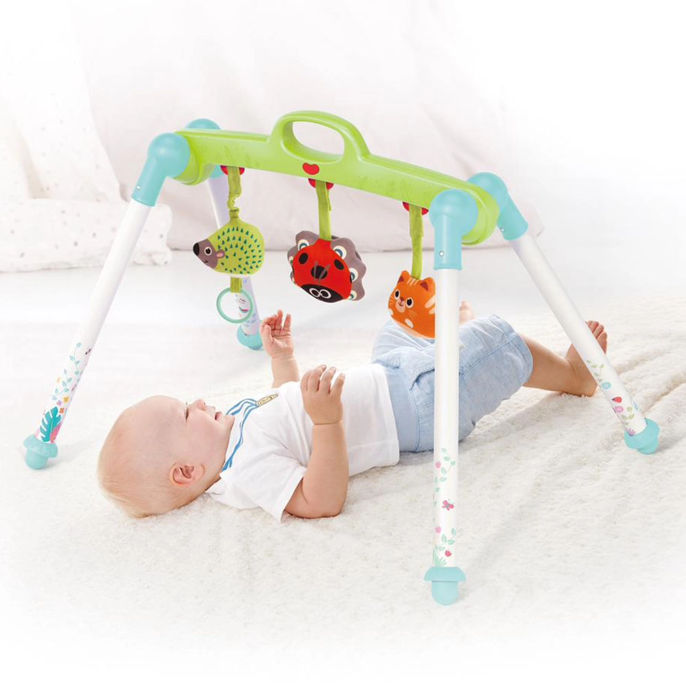 Baby Activity Play Gym - 0 month