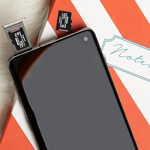Canvas Select Plus MicroSDXC UHS-1 256GB