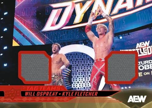 AEW Blaster Box - 12 Cards per Pack 4 Packs per Box