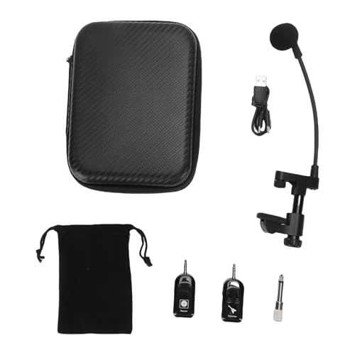 Instrument Microphone System - 1 2.4G Wireless
