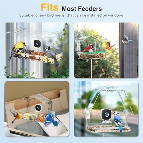 Close-Focus Window Bird Camera 2K