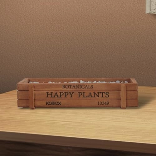 Acrylic Figures Display Box - 22x9x16cm Dustproof Transparent