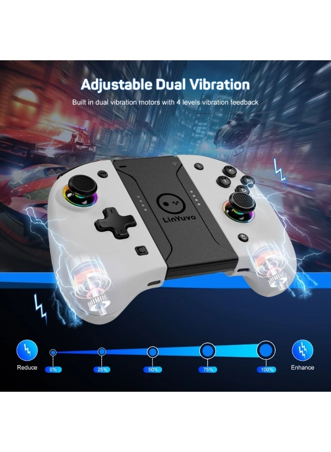 KS37B - Transparent BLACK Nintendo Switch