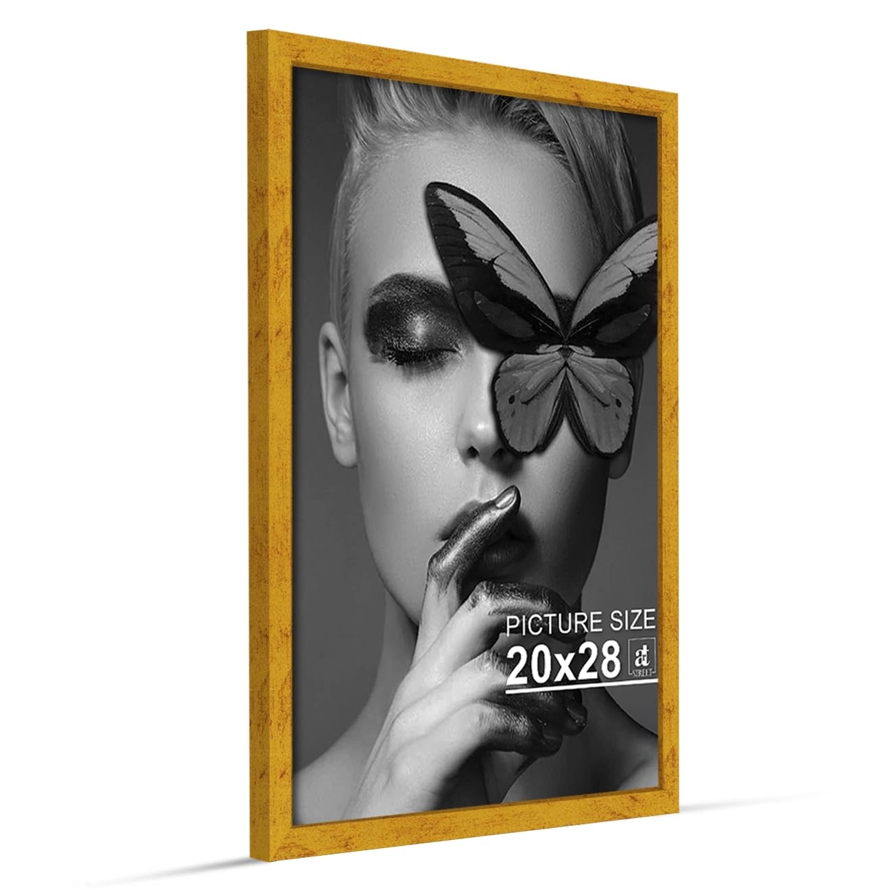 Document Frame - 20x28 Inch