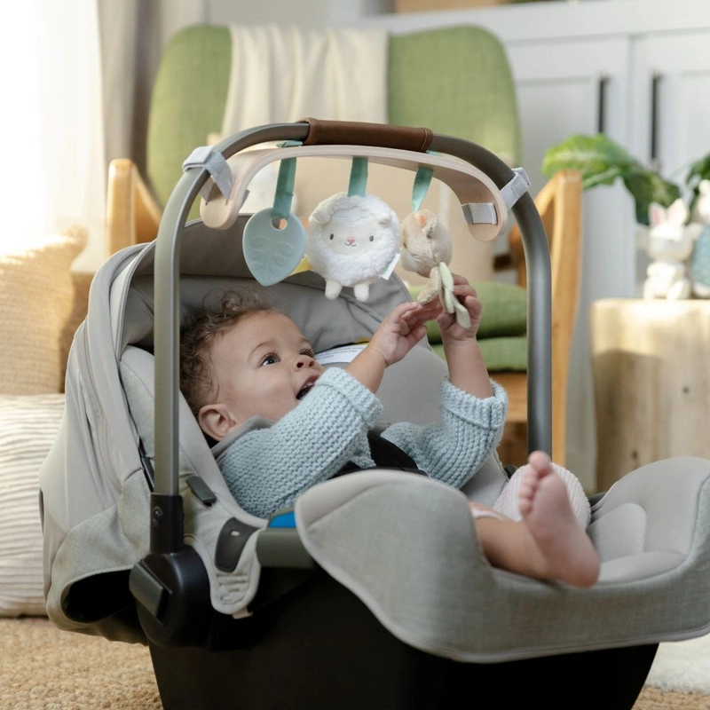 Soothing Essentials Carrier Toy Bar - 0 month & above