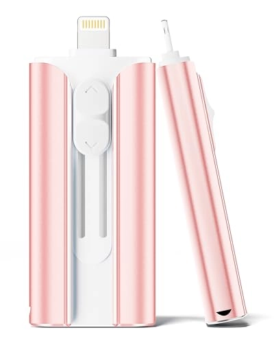 USB C Stick - Lightning 256GB