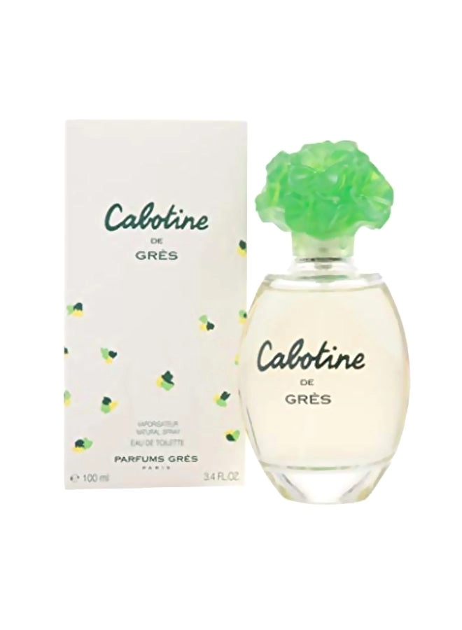 Perfume For Women Eau de Toilette 100ml
