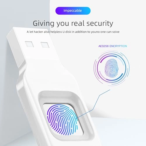 Fingerprint USB flash drive - USB 2.0 256 GB