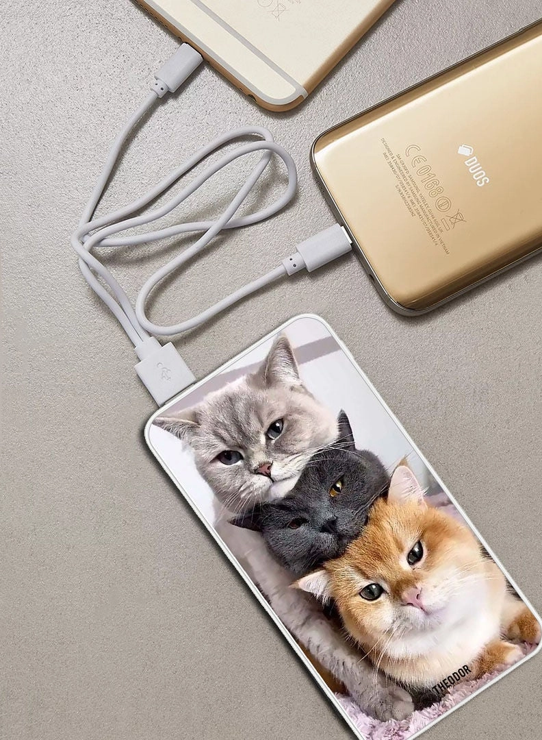 EX_PPBA085 - 10000 mAh 18W Quick Charging 3.0