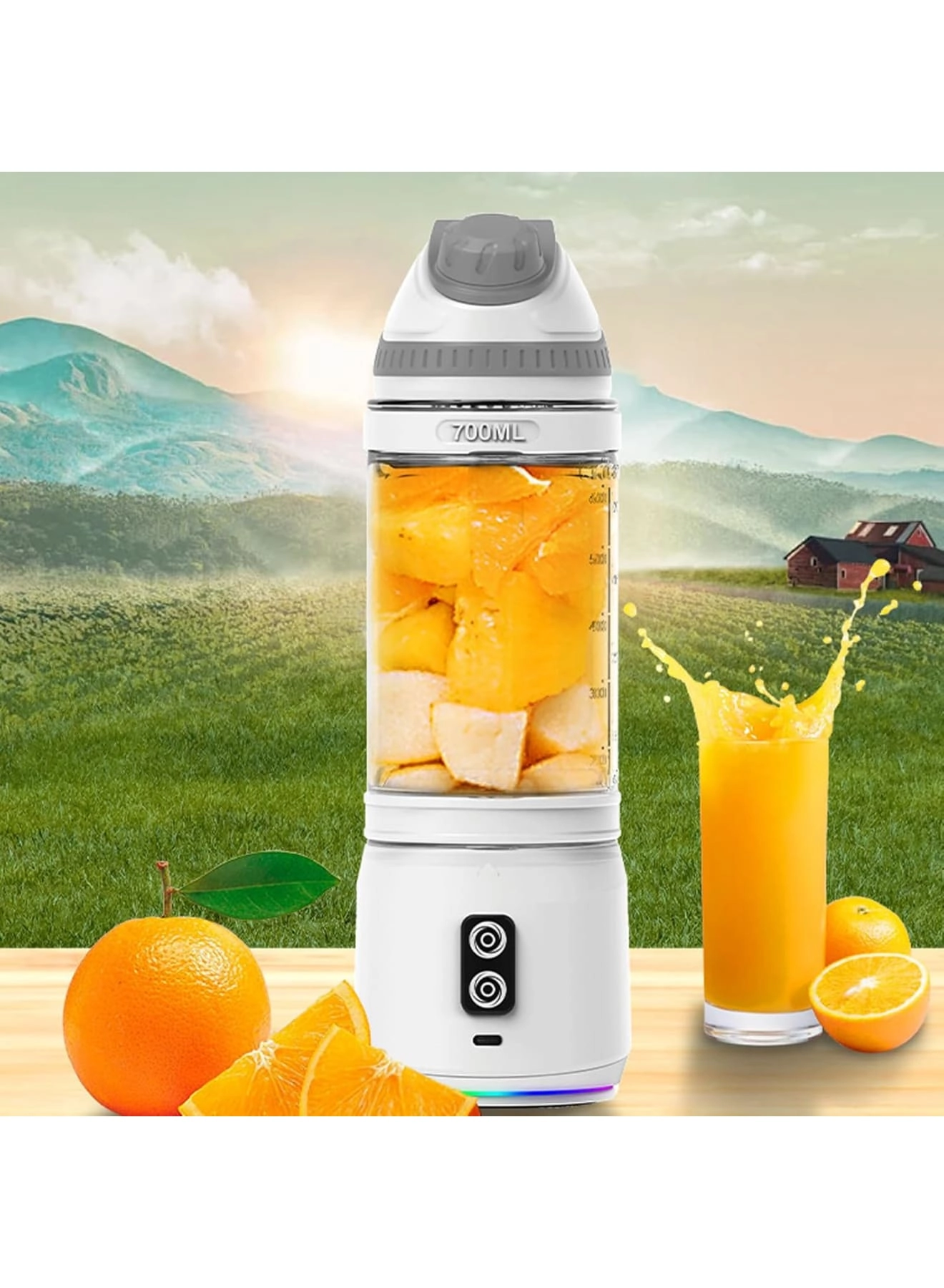 Portable Blender - 300W