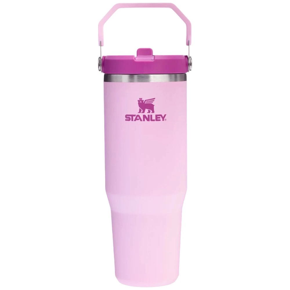 Ice Flow Go Water Bottle Flip Straw 890 ml