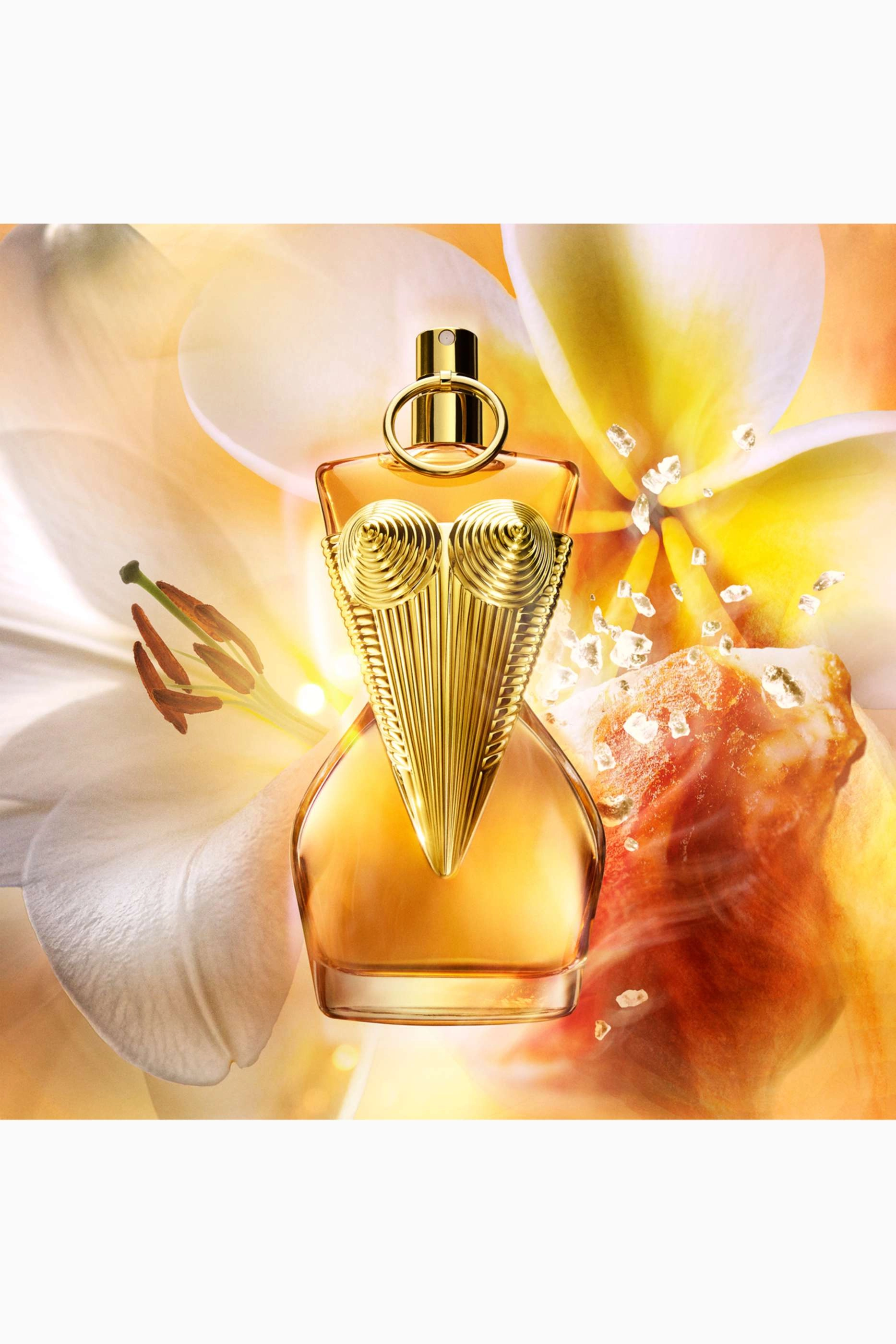 Gaultier Divine Le Parfum Eau de Parfum - 100ml