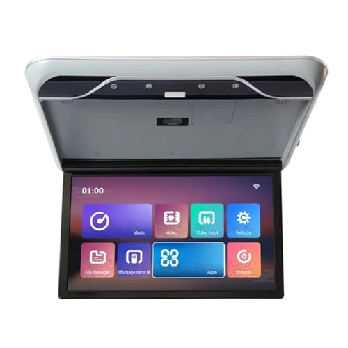 Roofmount LCD Monitor - 19in