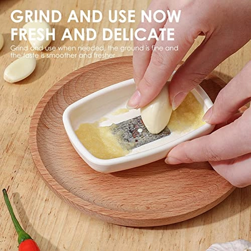 Mini Food Grinder