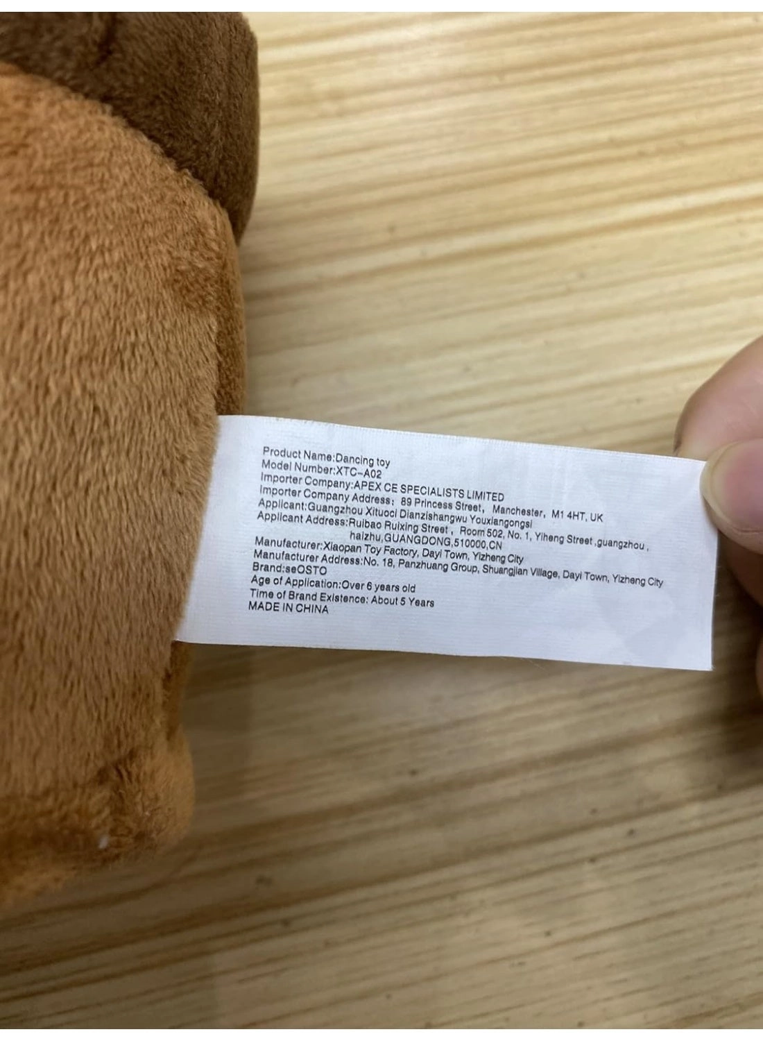 Talking Dancing Cactus Musical Toy