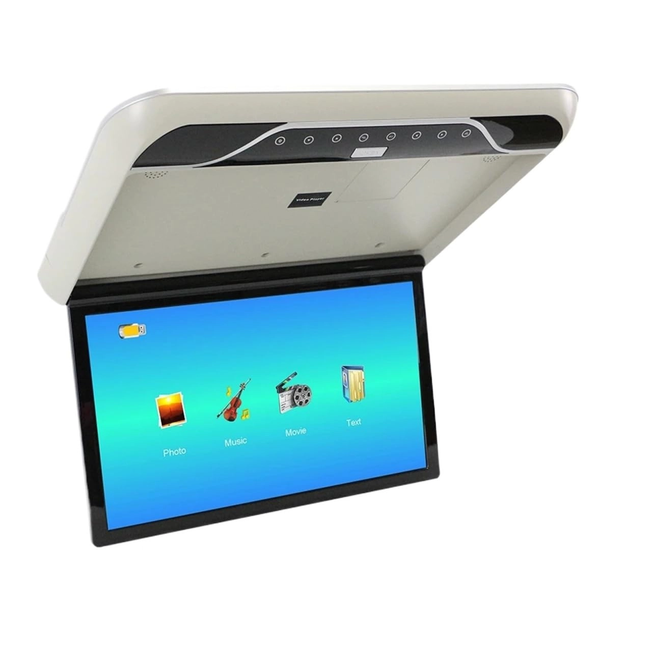 Roofmount LCD Monitor - 19in