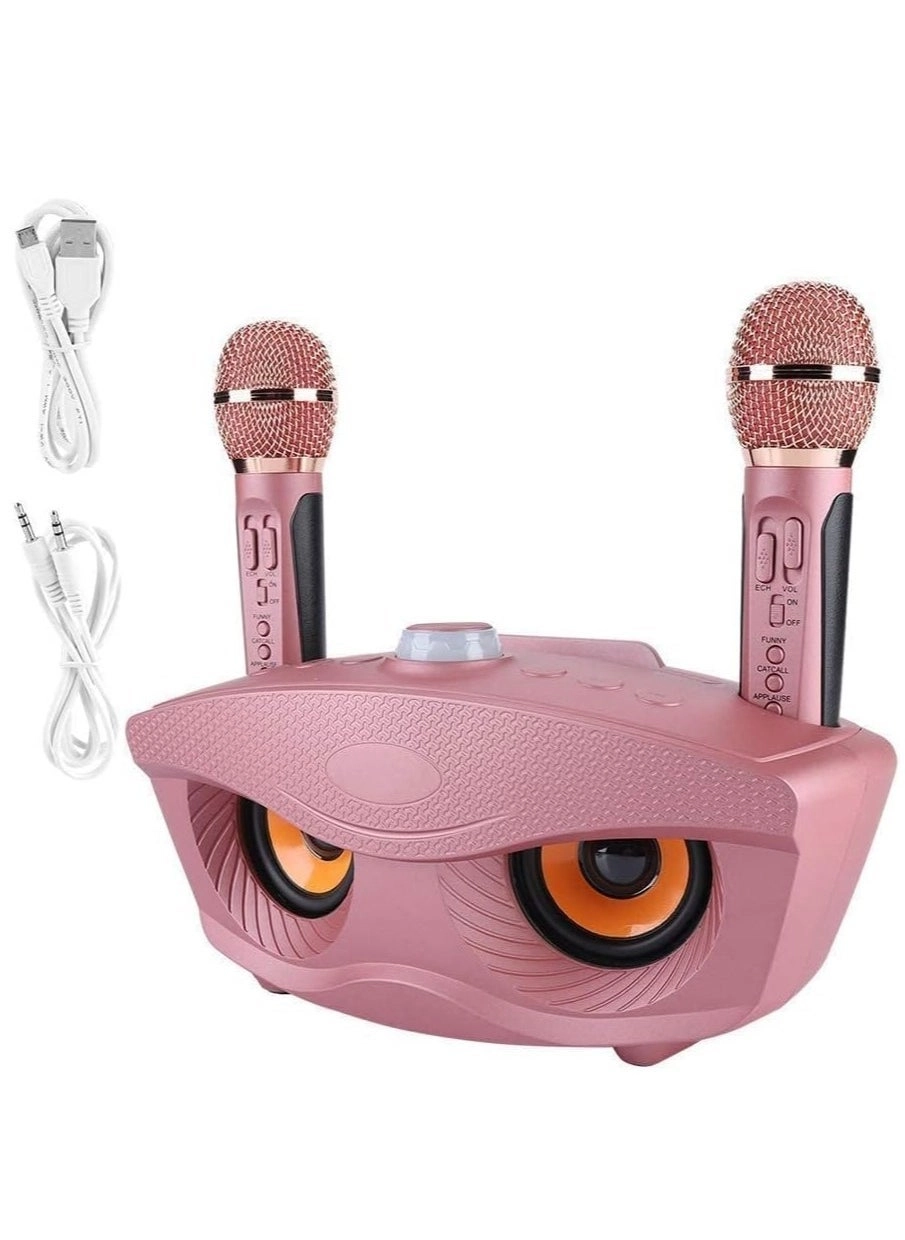 KTS-1000 - 2 Wireless Mics