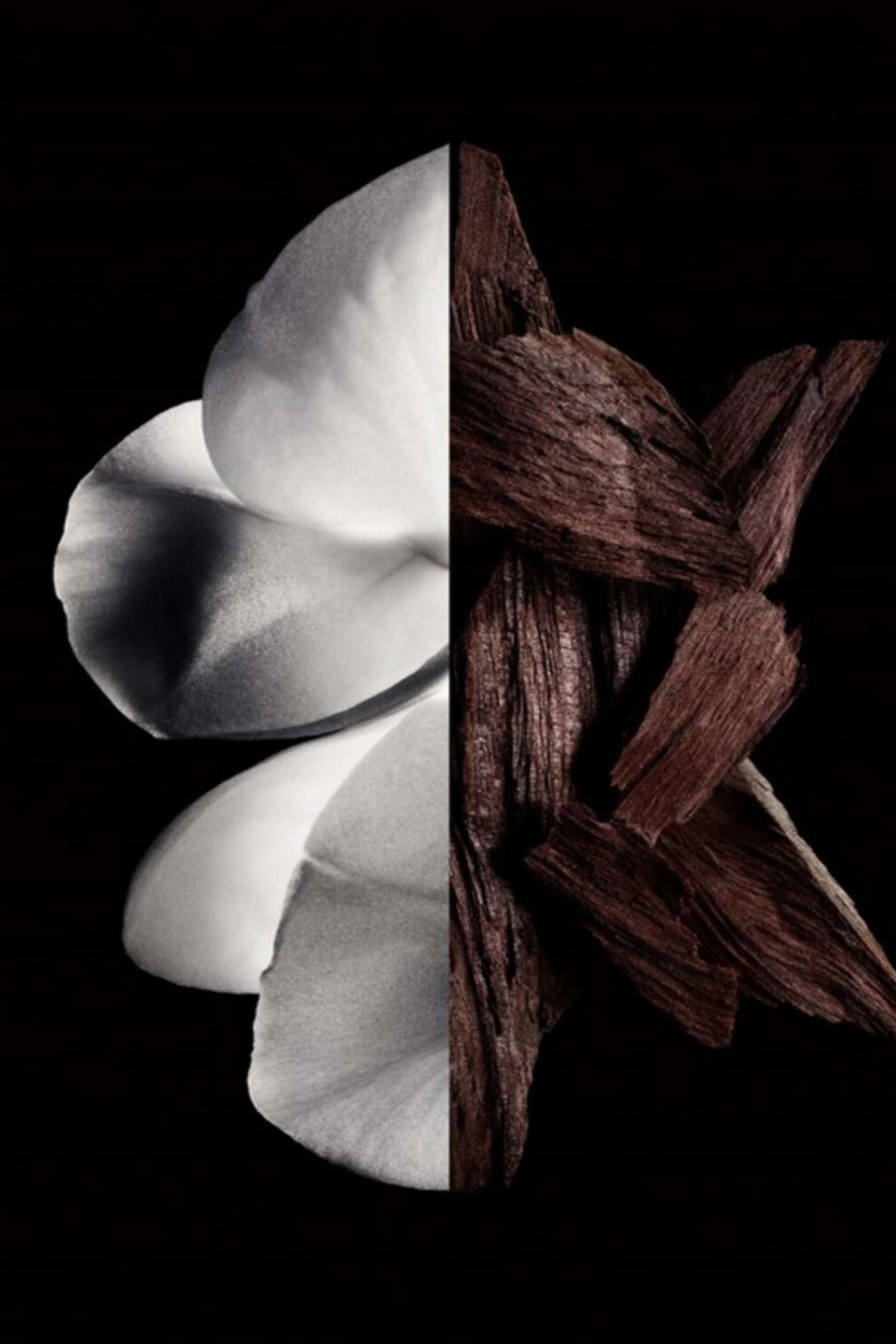 Gentleman Eau De Parfum Boisee - 200ml