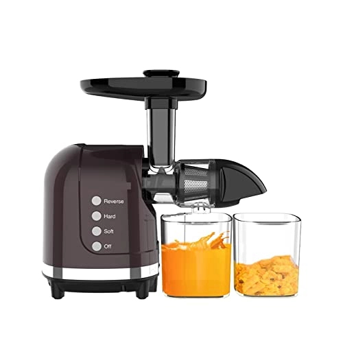 Slow Speed Juicer - 250W