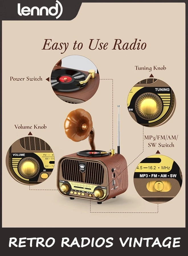 Portable Radio