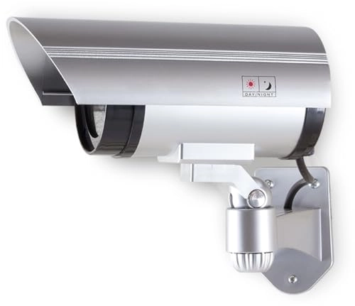 SC0204 - Bullet Silver LEDs