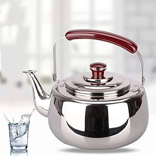 Stovetop Induction Whistling Kettle - 5L