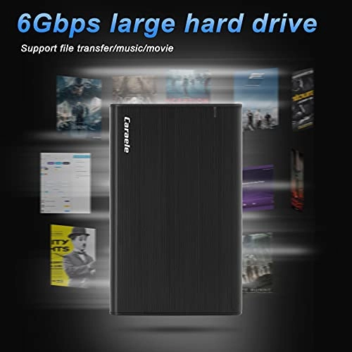 Portable - 5400 RPM 500GB 2.5-inch HDD