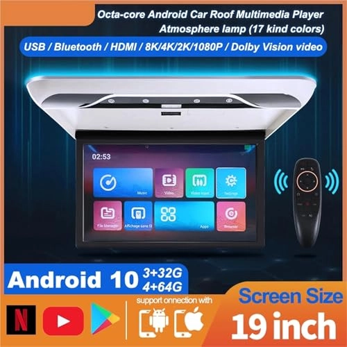 Roofmount LCD Monitor - 19in