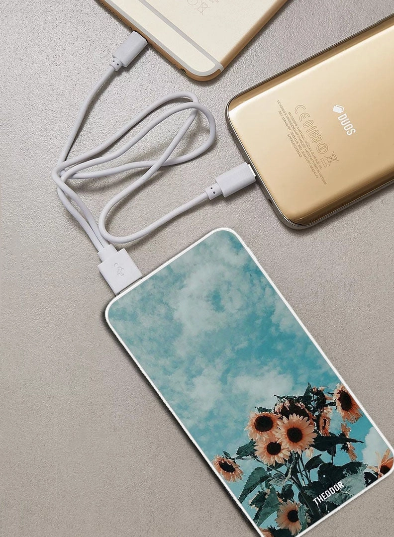 PPBA597 - 10000mAh 18W