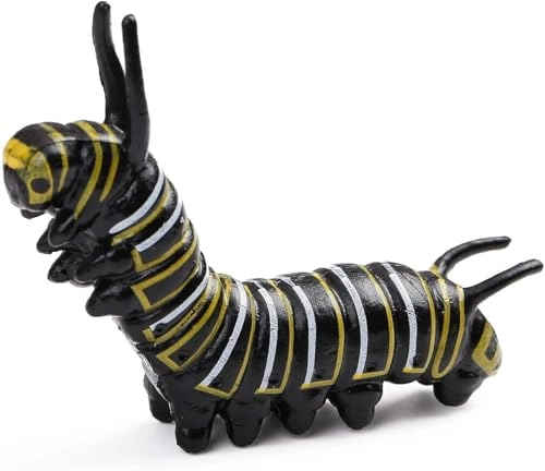 Butterfly Life Cycle Biology - 18 months - 3 years