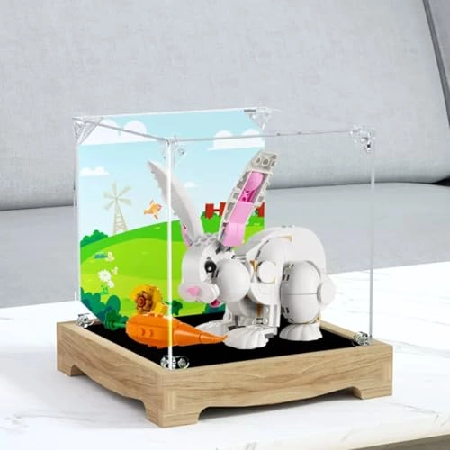 Figures Display Box - LEGO