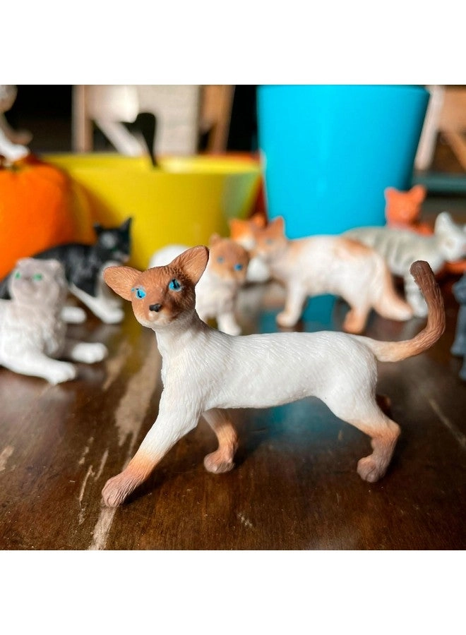 Domestic Cats Mini Figurines 11 pcs