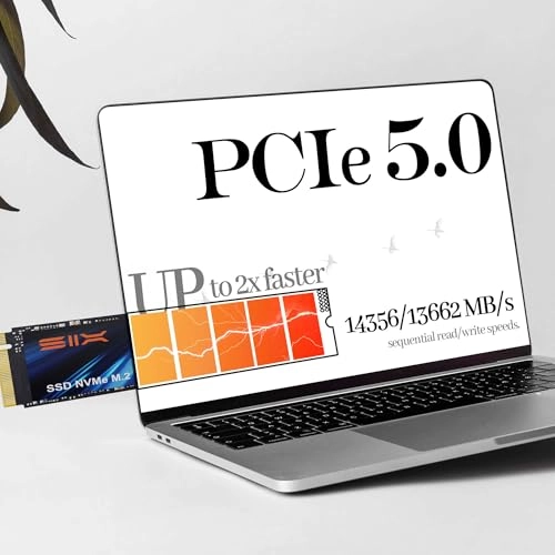 X15000 - 2TB 2280 Inches