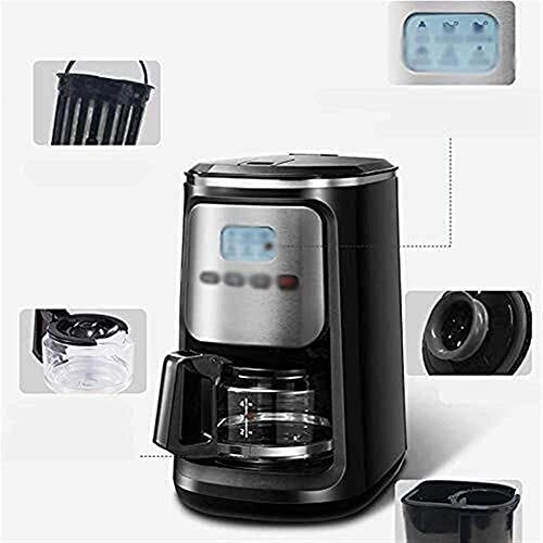 Bean Powder Dual-use - 600mL Grinding