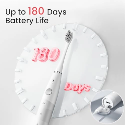 Flow Travel Go - 76,000 movements per minute 180-day battery