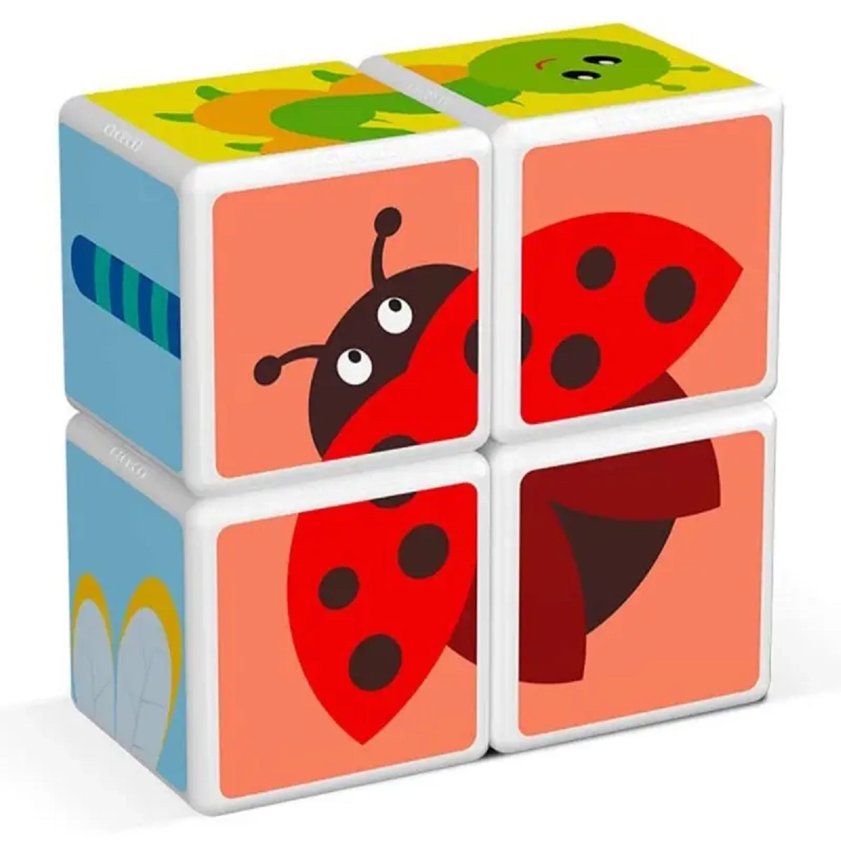 Magicube Mix And Match Insects - 18 Months 7Pcs