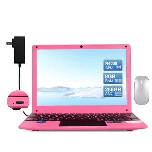 Mini Laptop - 10.1'' 256GB 8GB Celeron N4000