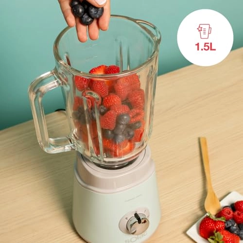 Pro Mixter - 1000W