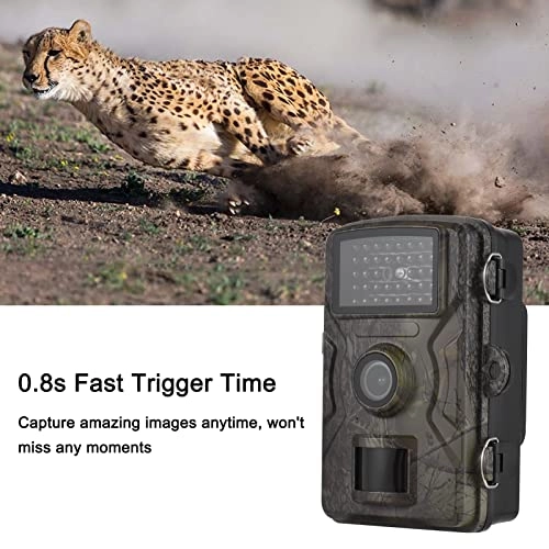 Trail Camera - 16MP