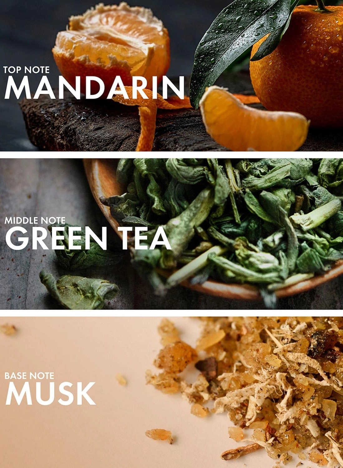 Green Galbanum - Eau de Parfum 50 ml