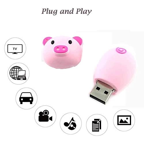 Piggy - USB 2.0 64GB
