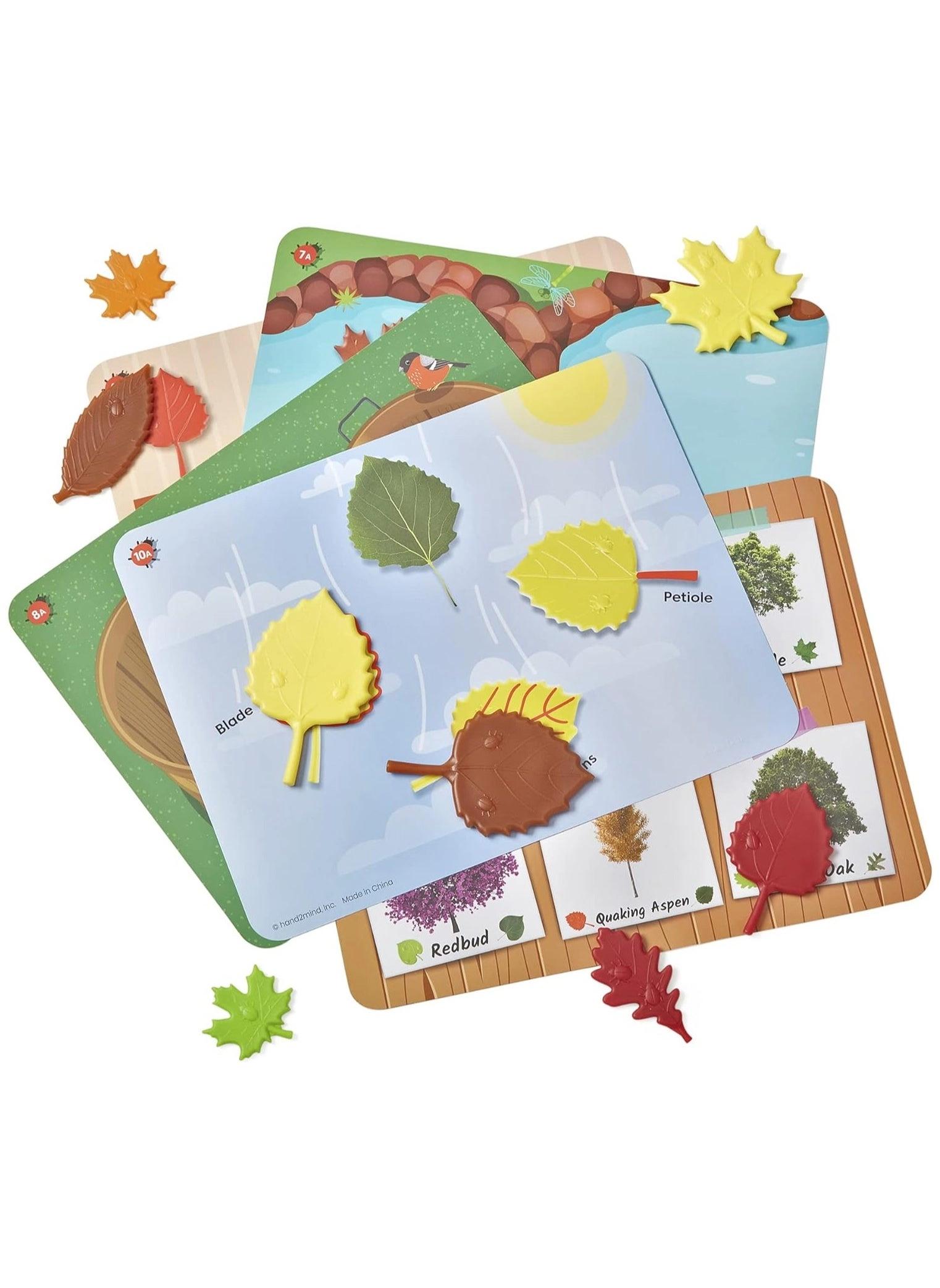 Sensory Leaves Math Activity Set - 3+ Years 46 piece(s)