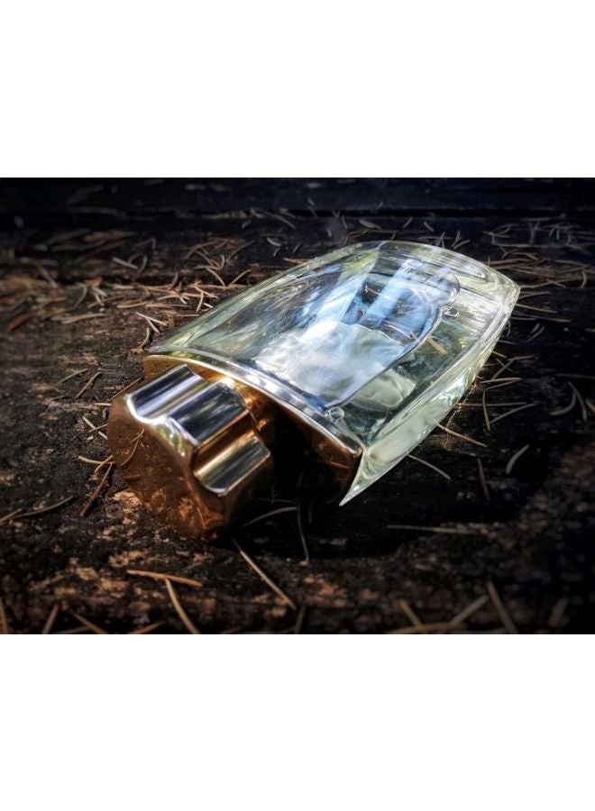 Pour Homme Lion Eau de Toilette 125 ml